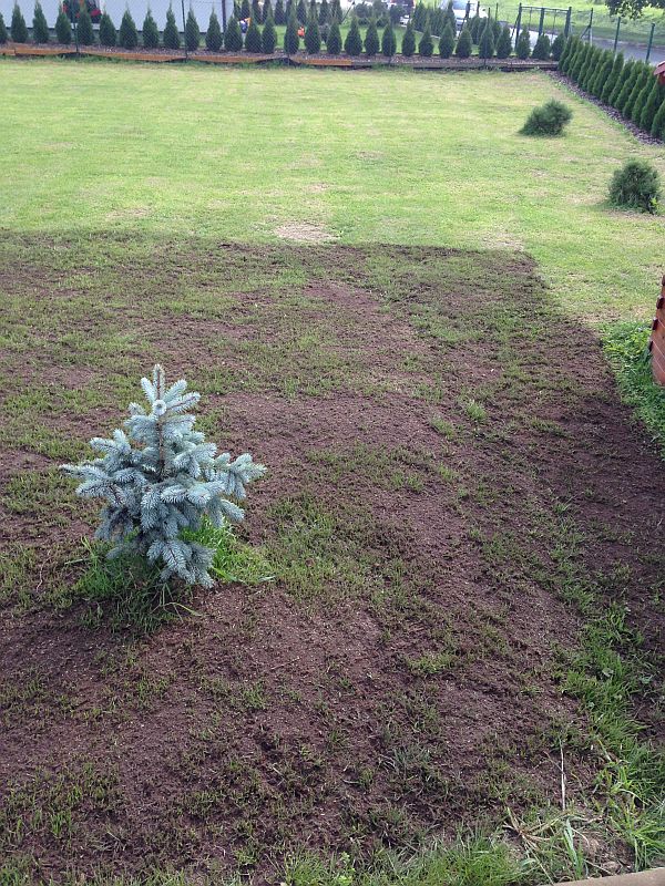 Příprava trávníku a pozemku